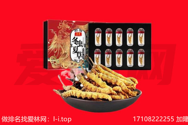 重庆江津区回收虫草.jpg